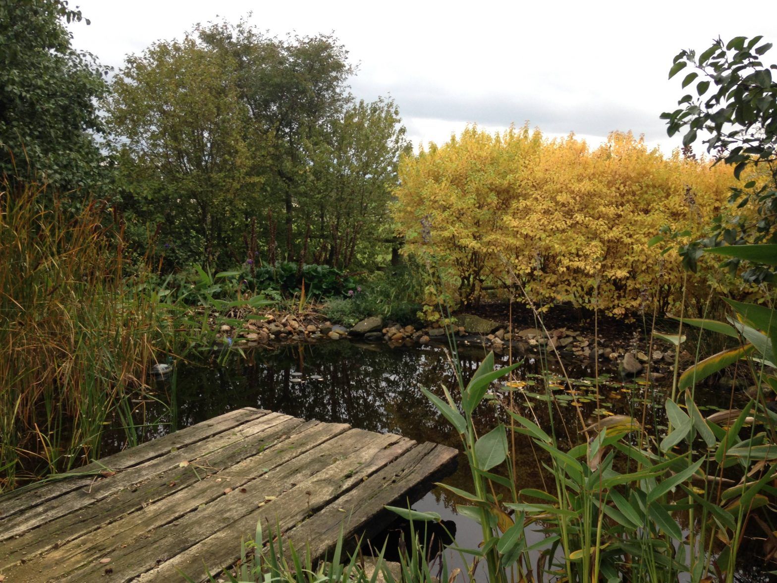 Entretenir son jardin l'hiver