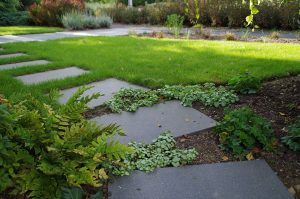 Aménagement végétal : allées pas japonais