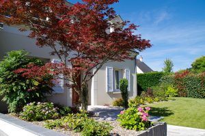 Aménagement végétal : jardinet décoratif