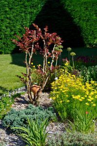 Aménagement végétal : bosquet végétal