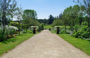 Aménagement végétal : allée de jardin