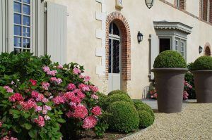 Aménagement végétal : décoration entrée
