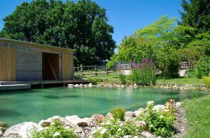 Fontaines et bassins décoratif : bassin d'agrément