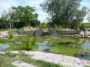 Construction décorative : bassin d'agrément