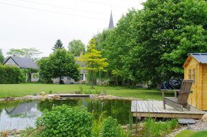 Construction décorative : bassin naturel