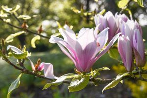 Les réalisations pour les entreprises et collectivités