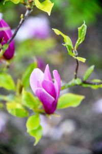 Notre expertise au service des entreprises et des collectivités