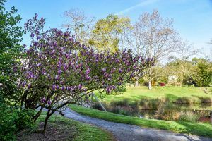 Les réalisations pour les entreprises et collectivités