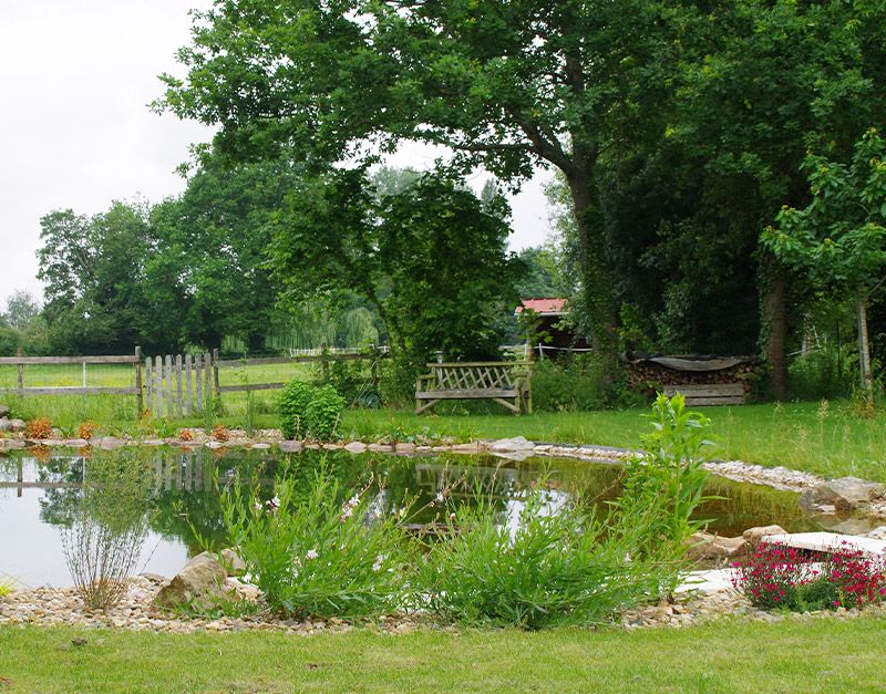 création de bassin d'agrément