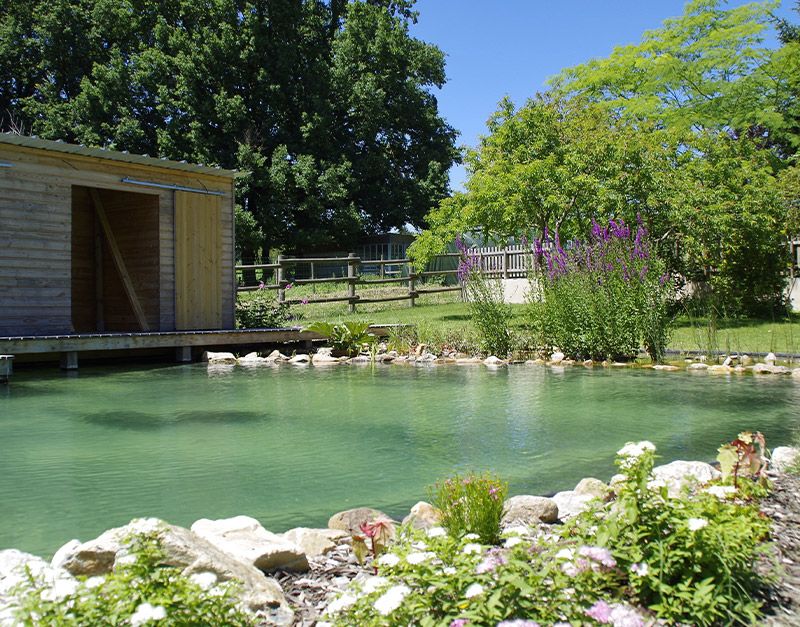 conception fontaine et bassin de jardin